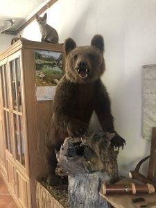 Uspešno zaključeni današnji dogodki  v sklopu straške jeseni 2